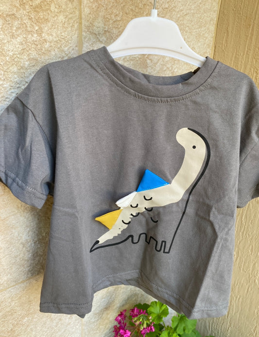 Dino oversized top
