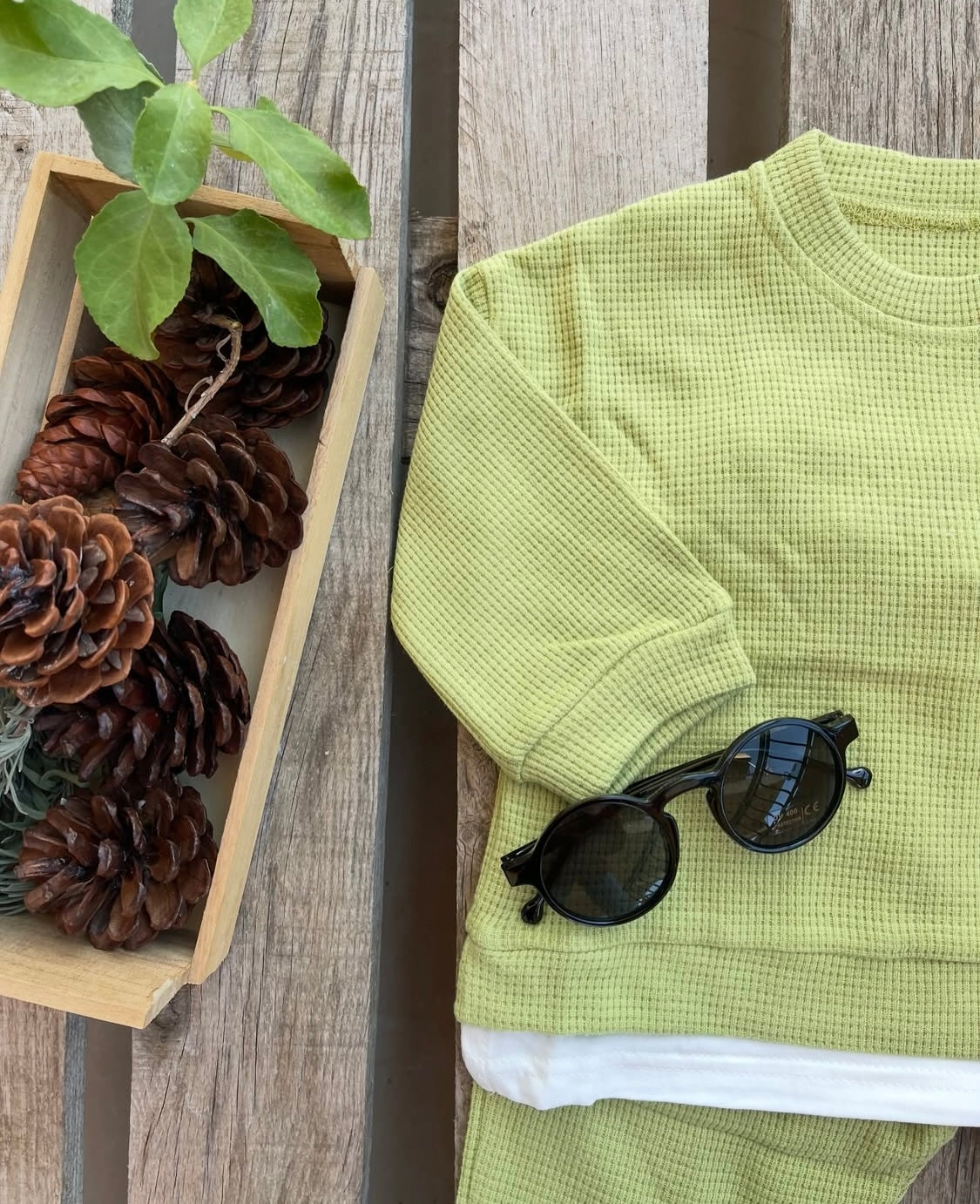 Green autumn set